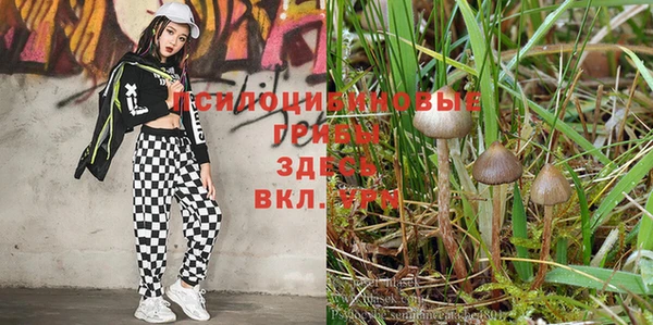 таблы Абинск