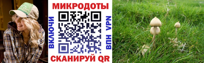 Псилоцибиновые грибы GOLDEN TEACHER  купить наркоту  Протвино 