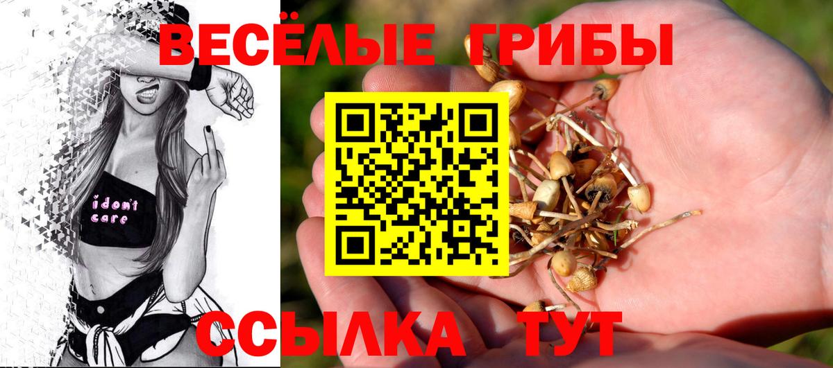 Протвино  Галлюциногенные грибы Psilocybine cubensis  Вход с VPN  Галлюциногенные грибы прущие грибы 