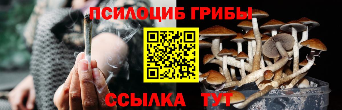 Псилоцибиновые грибы мухоморы Протвино
